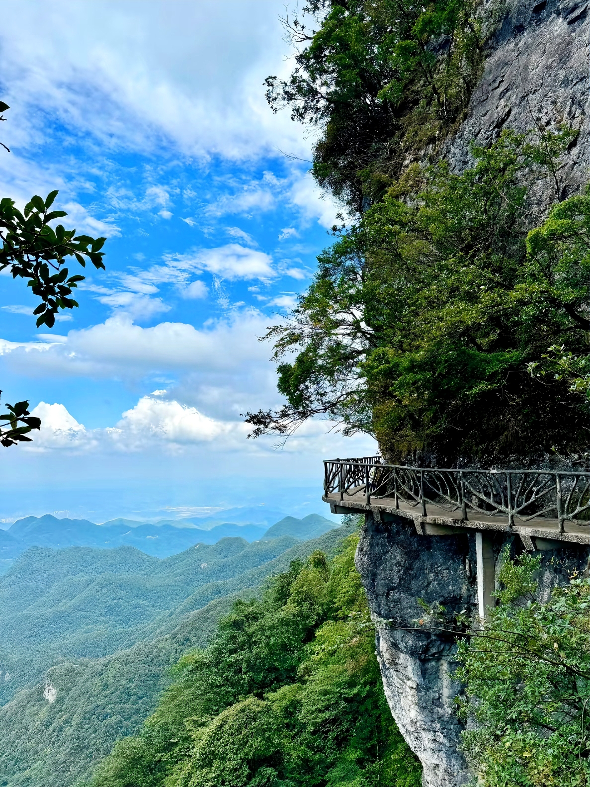 Jinfo Mountain