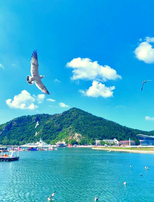 Laohutan Ocean Park Dalian