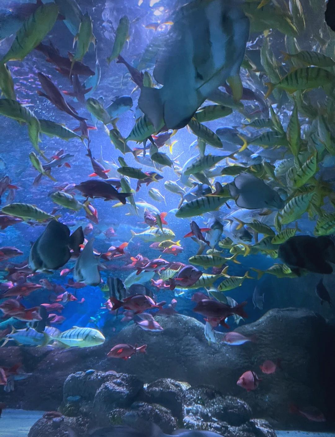 Shengya Ocean World Dalian