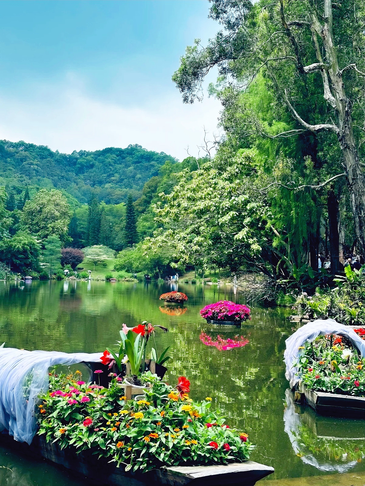 Shenzhen Fairy Lake Botanical Garden