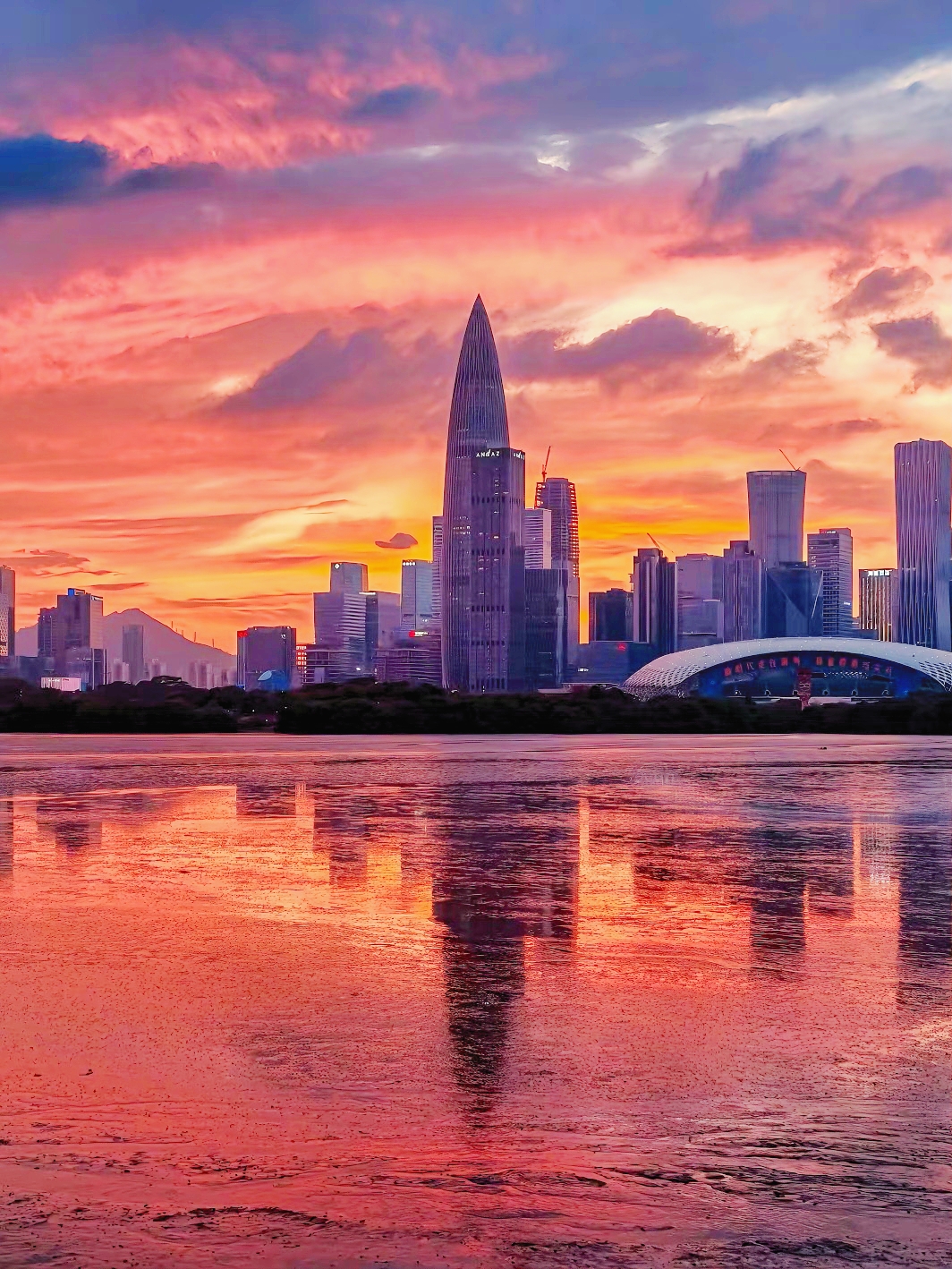 Shenzhen Bay Park