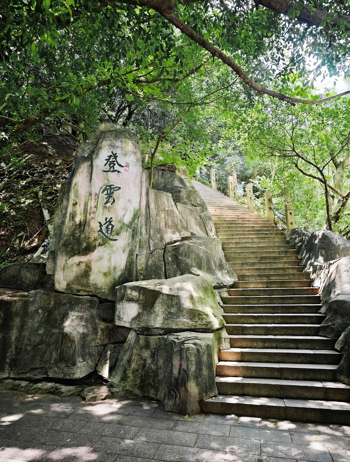 Wutong Mountain